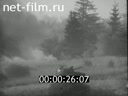 Кадр видео
