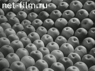 News Foreign newsreels №4494 (1975)