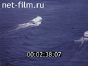 Footage frame