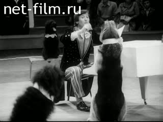 Newsreel Pioneerhood №10-1983 I vote for peace. Cap captain. Lessons of patience. (1983)