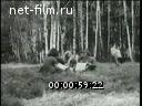 Кадр видео
