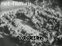 Footage frame