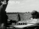 Footage frame
