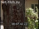 Дорожный патруль Выпуск от 16/06/1998