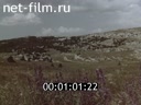 Кадр видео