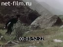 Кадр видео