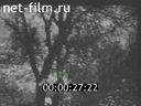 Footage frame