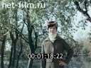 Кадр видео