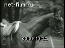 Footage frame