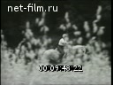 Footage frame