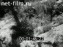 Footage frame