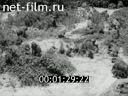 Footage frame