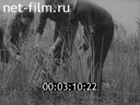 Nature protection in the USSR