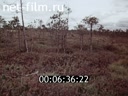 Footage frame