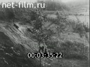 Footage frame