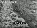 Footage frame