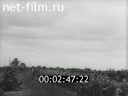 Footage frame