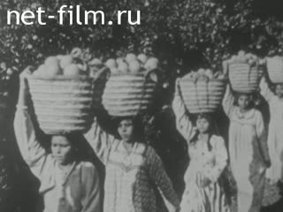 News Foreign newsreels №1623 (1968)