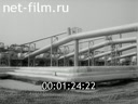 Vibrovolnovye processes in oil technology