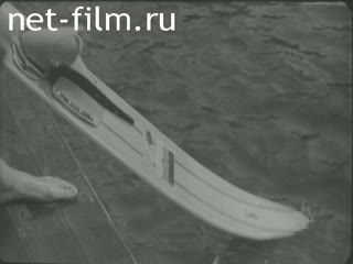 News Foreign newsreels №2846 (1971)