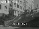 Кадр видео