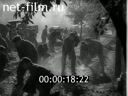 Footage frame