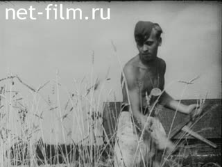 Newsreel Tonwoche №574 (1942)