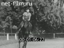 Footage frame