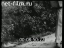 Footage frame