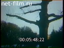 Footage frame