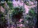 Footage frame