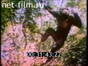 Footage frame