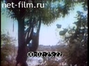 Footage frame