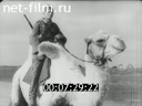 Footage frame