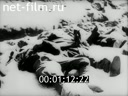 Footage frame