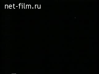 Newsreel Daily News / A Chronicle of the day №13-1973 (1973)