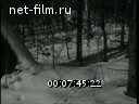Кадр видео