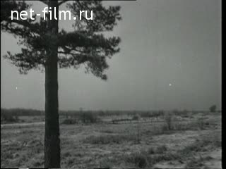 Newsreel Daily News / A Chronicle of the day №5-1973 (1973)