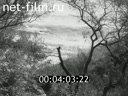 Footage frame