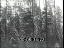 Footage frame