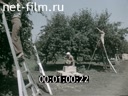 Кадр видео