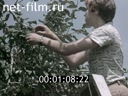 Footage frame