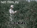 Кадр видео