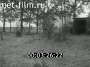 Footage frame