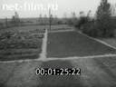 Footage frame