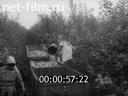 Кадр видео