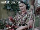 Кадр видео