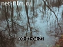 Footage frame