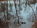 Footage frame