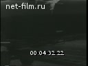 Новости дня / хроника наших дней №46-1969